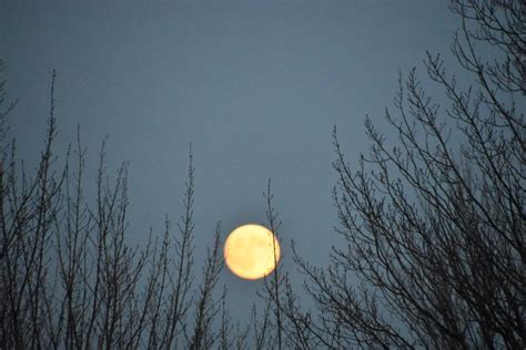 Vroege Vogels Foto Weer En Landschap Volle Maan