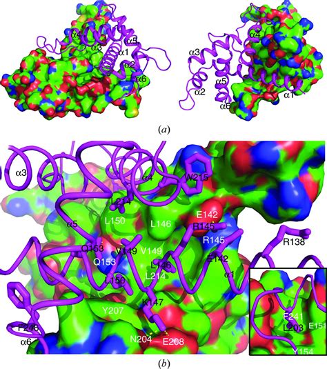 Iucr Crystal Structure Of A Dimerization Domain Of Human Caprin 1