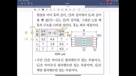 오투 생명과학1 4강 3점 16번 풀이근수축 Youtube