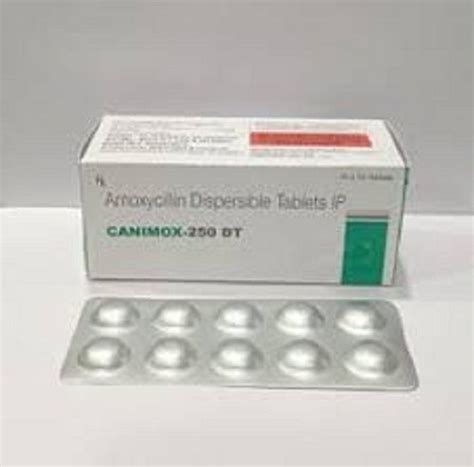 Canimox Dt Amoxycillin Dispersible Tablets Ip General Medicines At