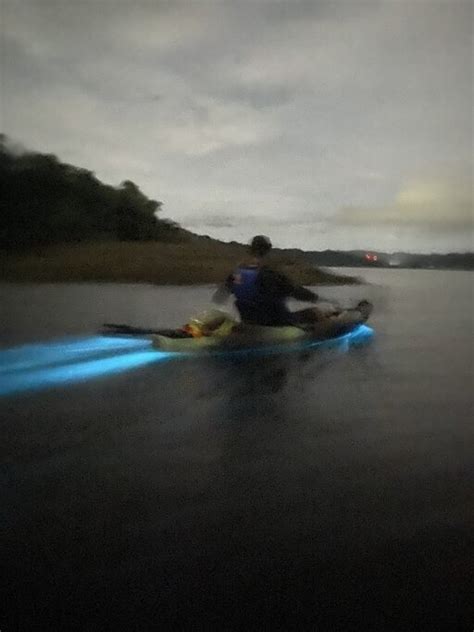 Bioluminescent Kayak Activity, Paquera | kimkim