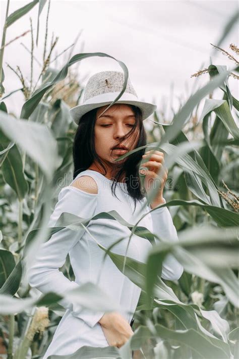 A Brunette Girl In A White Dress In A Cornfield The Concept Of Harvesting Stock Image Image