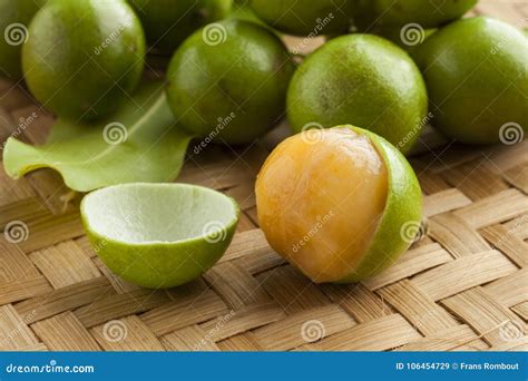 Fresh peeled quenepa fruit stock image. Image of peeled - 106454729