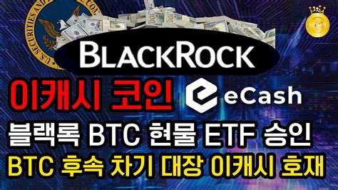 이캐시 코인 블랙록 Btc 현물 Etf 승인 Btc 후속 차기 대장 이캐시 호재 이캐시 Sec 비트코인etf Youtube