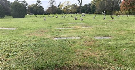 Funeral Services and Information for Chapel Hill Gardens South 2