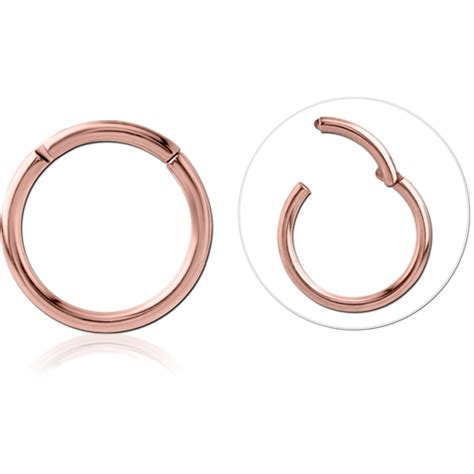 Rose Gold Pvd Coated Titanium Alloy Hinged Segment Ring Rgtbcsh Shining Light Body Jewelry