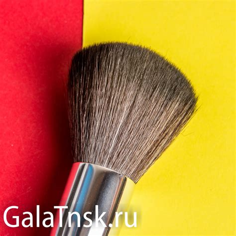 Beauty Planet Makeup Brushes Saubhaya Makeup