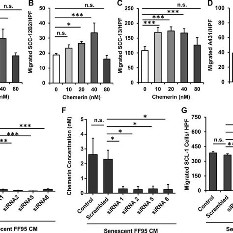 CCRL2 And GPR1 Receptors Are Required For Chemerin Stimulated Squamous