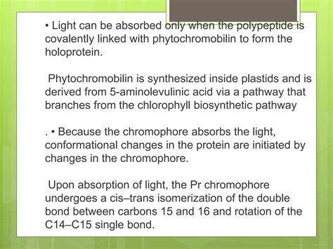 Phytochrome Structure And Function By Nour Deeb Ppt