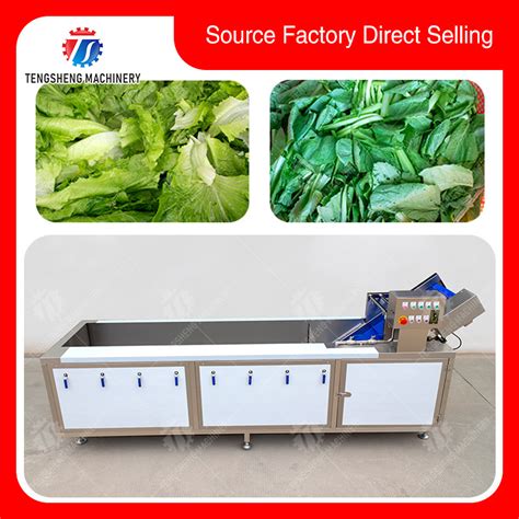 Automatic Bubble Ozone Washer Fruit Vegetable Washing Cleaning Machine