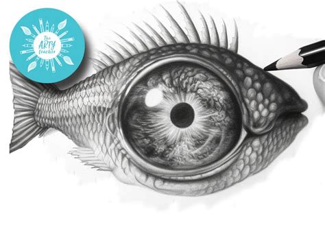 Metamorphosis Fish Eye - The Arty Teacher