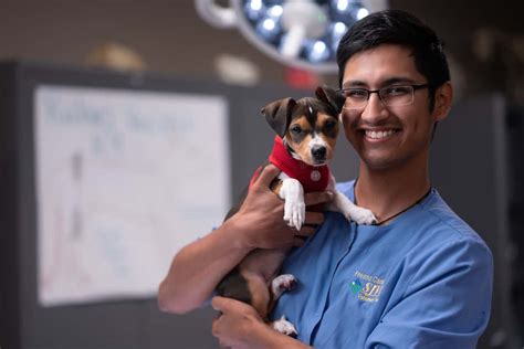 How To Become A Vet Assistant Career Guide