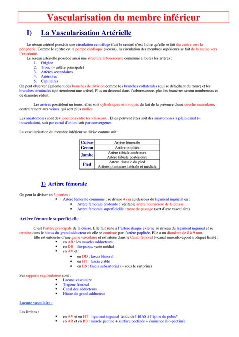 Vascularisation Du Membre Inf Rieur Vascularisation Du Membre