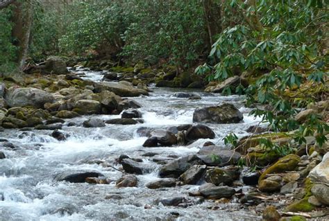 DIY Guide to Fly Fishing the East Fork Pigeon River in North Carolina ...