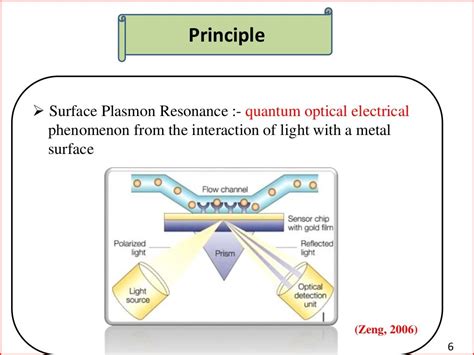 surface plasmon resonance