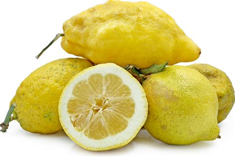 Zest Lemons Information And Facts