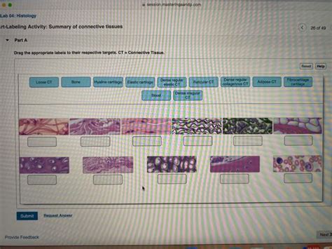 Solved Session Masteringaandp Lab 04 Histology Chegg