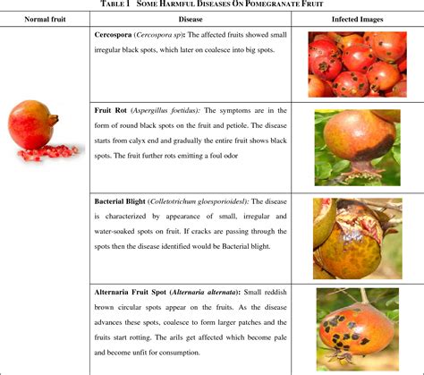 Pdf Image Processing Approach For Grading And Identification Of