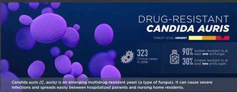 Candida auris: Transmission, Risk, Diagnosis, Treatment • Microbe Online