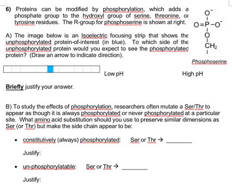 Answered 6 Proteins Can Be Modified By Bartleby