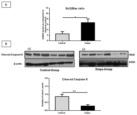 IJMS Free Full Text Empagliflozin Attenuates Non Alcoholic Fatty