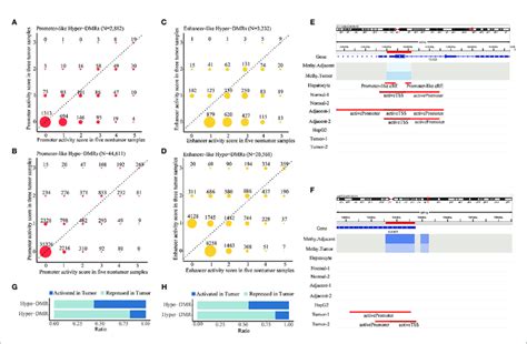 Identification Of Aberrant Dna Methylation In Promoter And Download Scientific Diagram