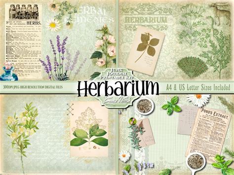 Herbal Botanical Junk Journal Printable Kit Herbal Remedies Etsy Uk