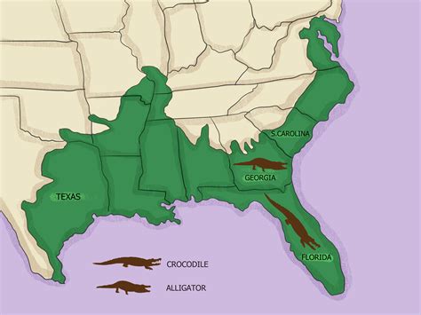WikiHow map comparing range of alligators and crocodiles : r/dataisugly