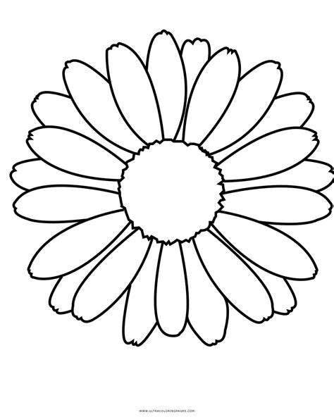 Gänseblümchen Ausmalbilder Ultra Coloring Pages