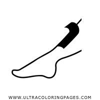 Dibujo De Pierna Para Colorear Ultra Coloring Pages The Best Porn