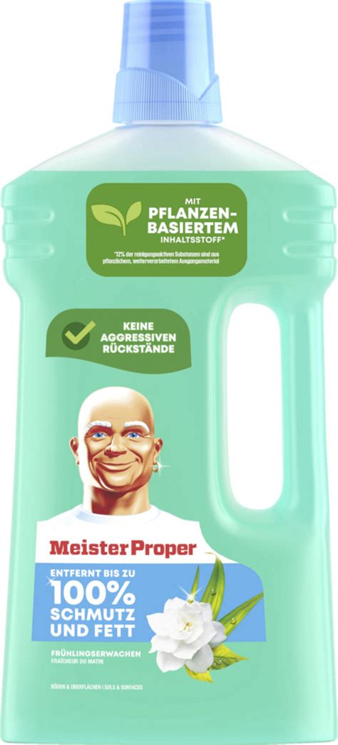 Meister Proper Allzweckreiniger Frühlingserwachen von ROSSMANN für 1 89