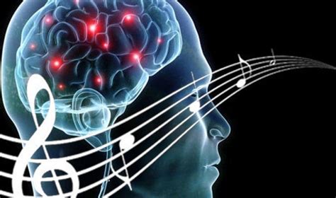 Qué pasa en el cerebro cuando escuchamos música Infofueguina