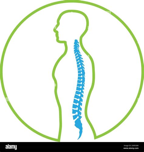 Spine Orthopedics Chiropractor Massage Logo Stock Vector Image