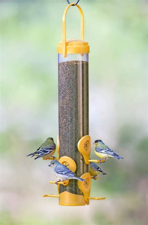 The Best Finch Feeders to Serve Thistle Seed - Birds and Blooms