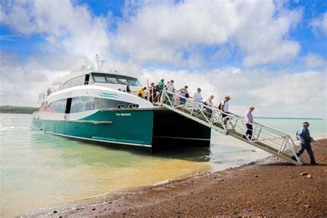 Från Darwin Tiwi Islands Aboriginal Culture Tour med lunch GetYourGuide