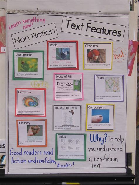 First Grade Nonfiction Books