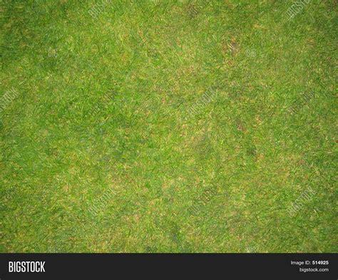 Green Grass Football Pitch Texture Image & Photo | Bigstock