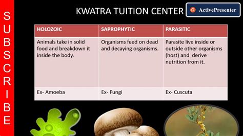 TYPES OF HETEROTROPHIC NUTRITION || #CLASS10 - YouTube