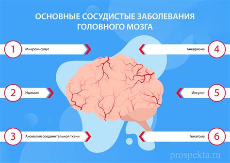 Когнитивные нарушения при сосудистых заболеваниях головного мозга как выявить и вылечить