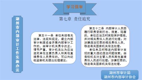 学习强审 《湖州市内部审计工作实施办法》（第三十一期）