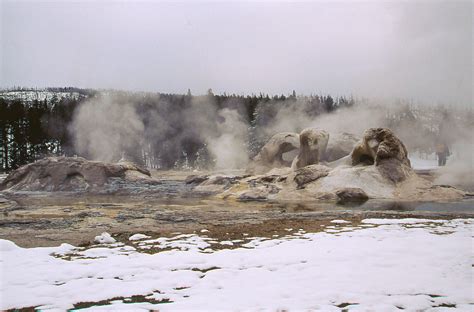 Yellowstone Winter