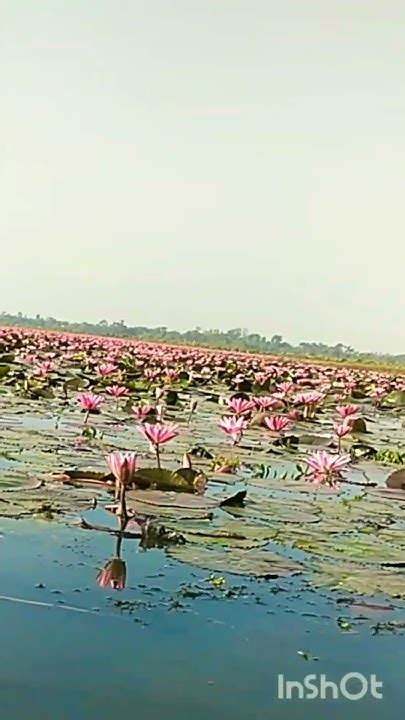 dibirhaoorsaplabilsilet lalsapla youtube