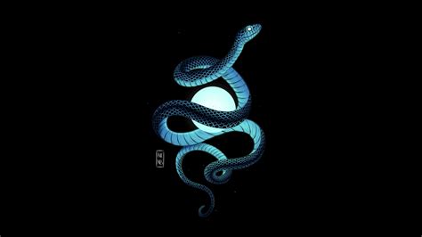 Snake Live Wallpaper - Live Wallpaper