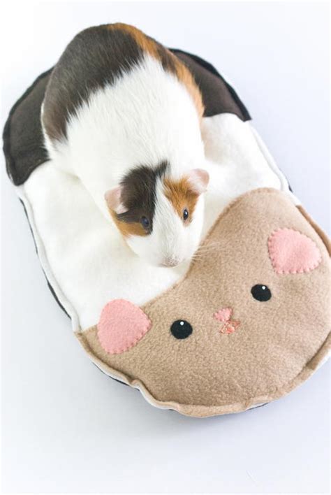 Guinea Pig Pillow Bed Pattern