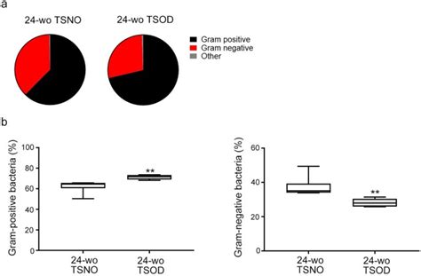 Analysis Of The Gut Microbiome And Plasma Short Chain Fatty Acid