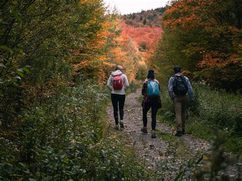 Unique Ways to View the Foliage in Stowe | Fall in Stowe, VT | Go Stowe