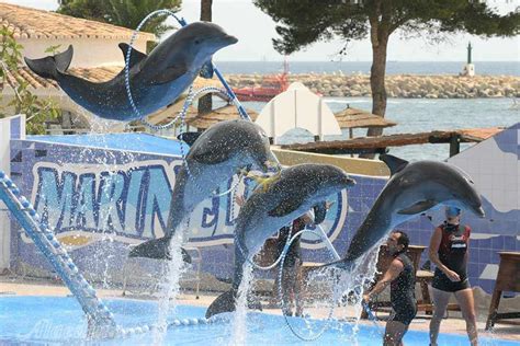 Dolphin Park In Kish Kish Attractions Travel To Iran