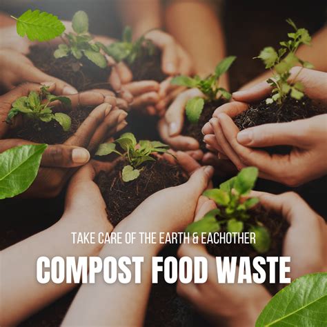 Support Wellness By Composting Food Waste St Joseph Healthcare