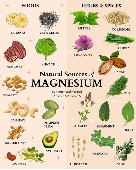 Magnesium Food Chart