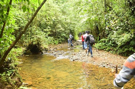 Trek to KudreMukh Peak - Tripoto